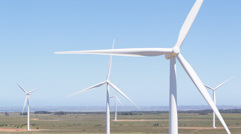 Windmill Farm