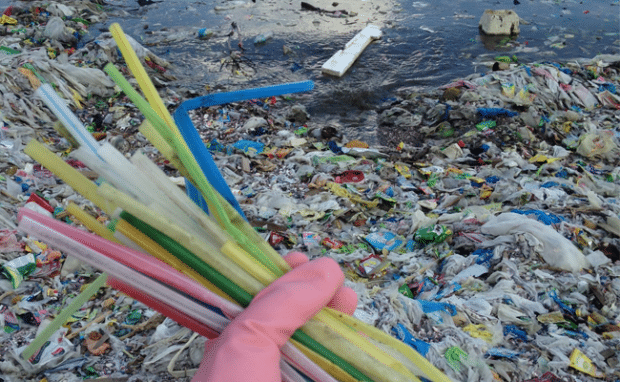 plastic straws pollution