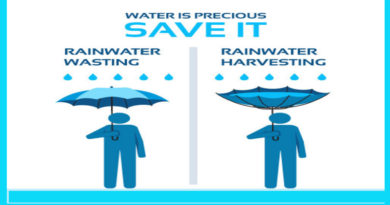 Rainwater Harvesting Graphic