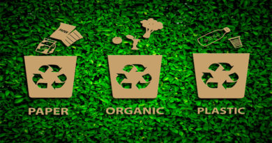 Paper, Organic and Plastic Graphic