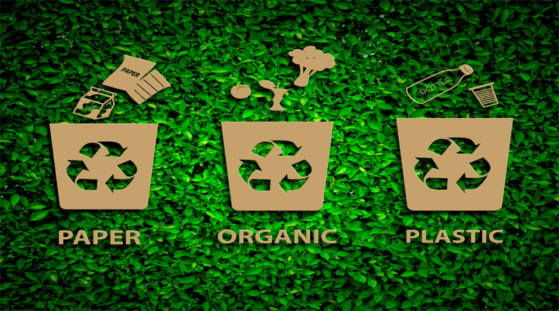 Paper, Organic and Plastic Graphic