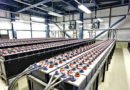 Battery Storage