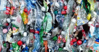 Crushed Plastic Bottles