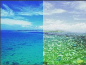 Clean Sea Vs Full of Plastic