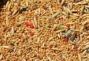 Grains
