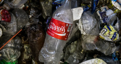 Plastic Bottle pollution