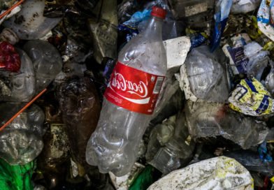 Plastic Bottle pollution