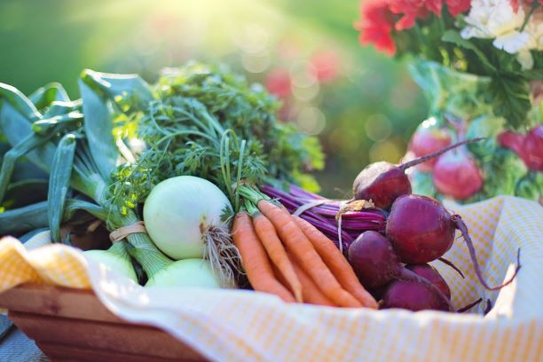 Fresh and Organic Vegetables