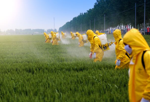 Pesticides Ban