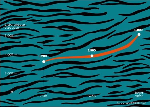 world tiger population graph