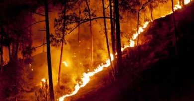 Forest Fire in Shimla, India