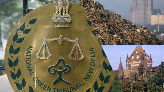 NGT Seeks Maharashtra Waste Management Report; HC Allows More Dumping