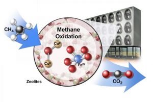 CH4 to CO2 conversion