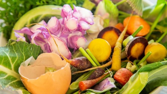 Food scraps and waste