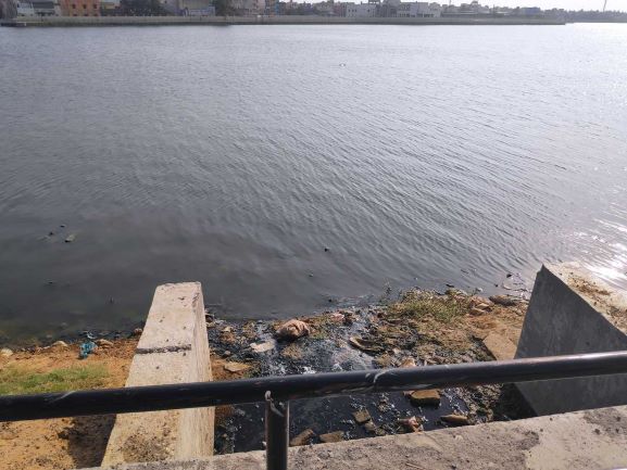 Paruthipattu Lake in Avadi