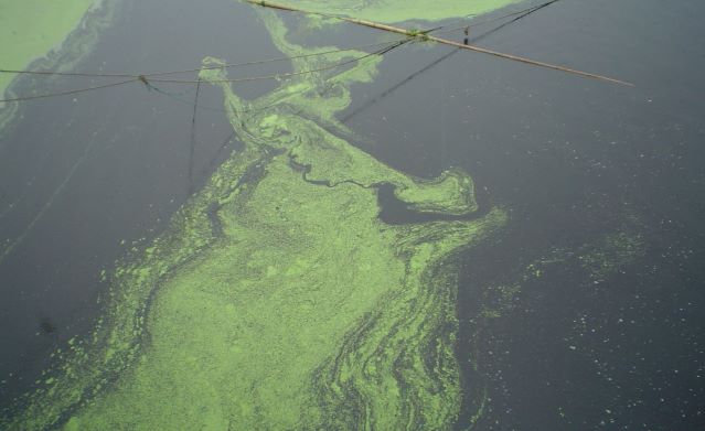 Wo river in Anhui province