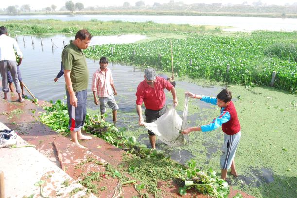 Gomti riverside