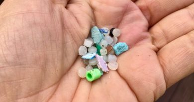 Microplastic in hand
