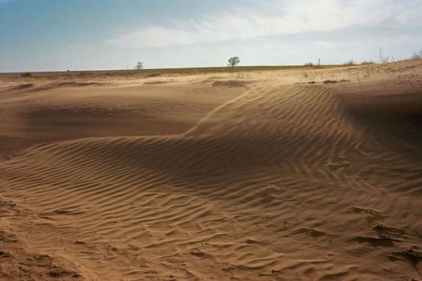 Land Degradation Desert