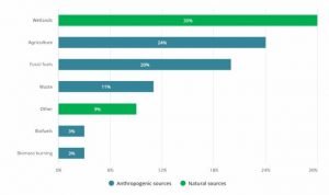 Global Methane sources