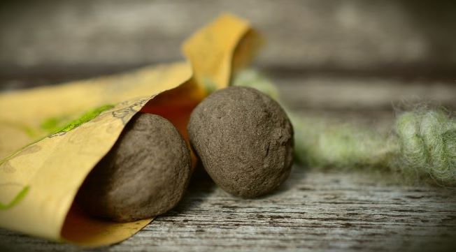 seeds closeup