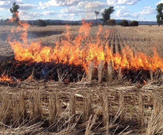 Amid Pollution Woes, CAQM Reviews Progress Of Ethanol Blending Program