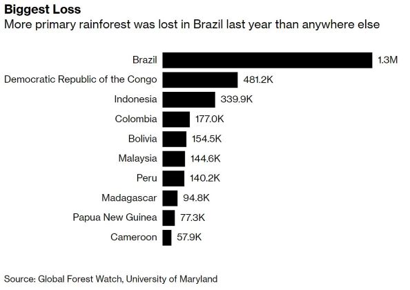 Rain forests lost in 2018