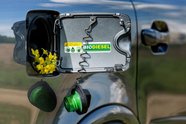 The United States is set to capitalize on rising biofuel demand