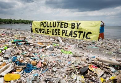 India Generates 9.46 Mn Tonnes of Plastic Waste Annually Says Study