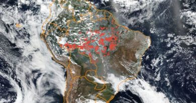 European Space Agency Records Increased Pollution After Amazon Fires