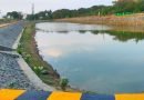 Grundfos Pond Restoration in Chennai