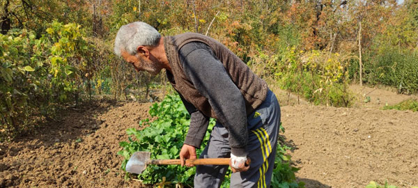 Altaf-Hussain,-62,-working-in-his-orchard