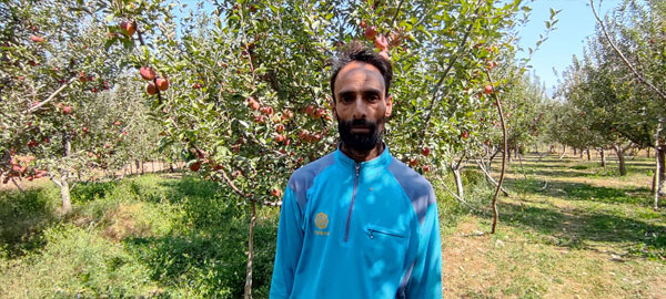 Fayaz Mir, an Orchadist of Kraalmad village in South Kashmir Pic Credit: Rayies Altaf