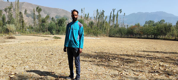 Fayaz-Mir’s-Orchard-is-surrounded-by-Paddy-Fields.-He-is-seen-in-one-of-those-paddy-fields-which-surround-his-orchard