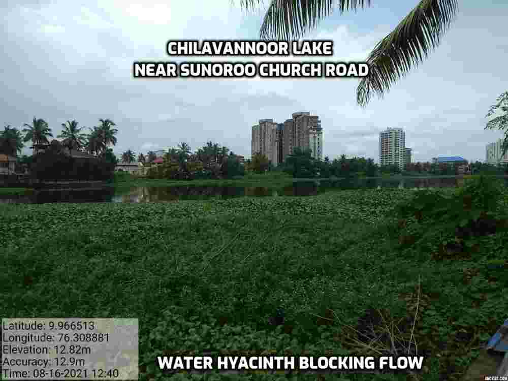 Chilavannoor lake rejuvenation Kochi
