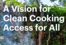 IEA Clean Cooking report