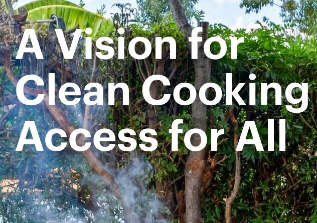 IEA Clean Cooking report