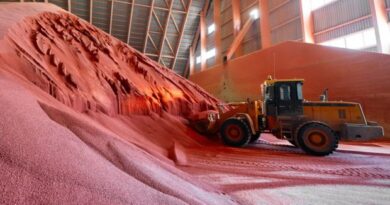 Phosphate Bonanza in Norway: A Century's Worth of Critical Resources Unearthed