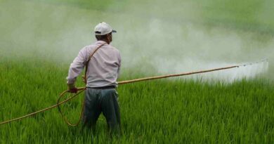 chemical pesticides