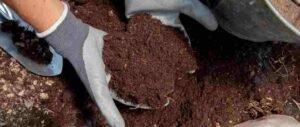 organic manure farming agriculture Dal Lake