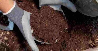 organic manure farming agriculture Dal Lake