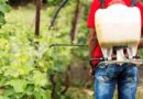 pesticides farming agriculture organic FAO