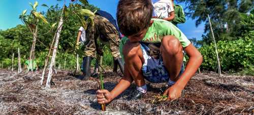 natural farming organic farming sustainable agriculture