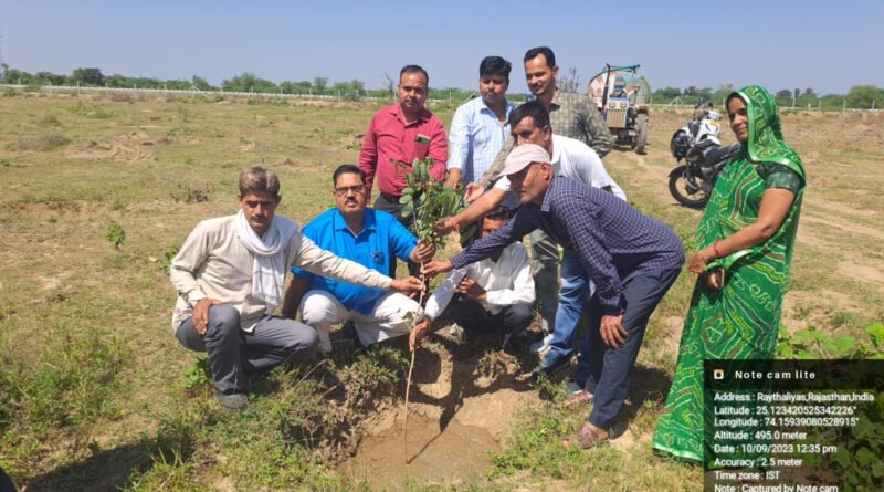 Regenerative Circular Bioenergy System