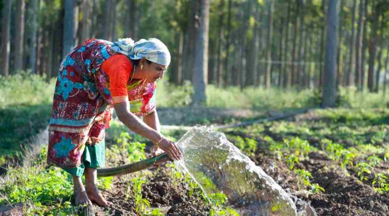 natural farming Andhra Pradesh agriculture organic