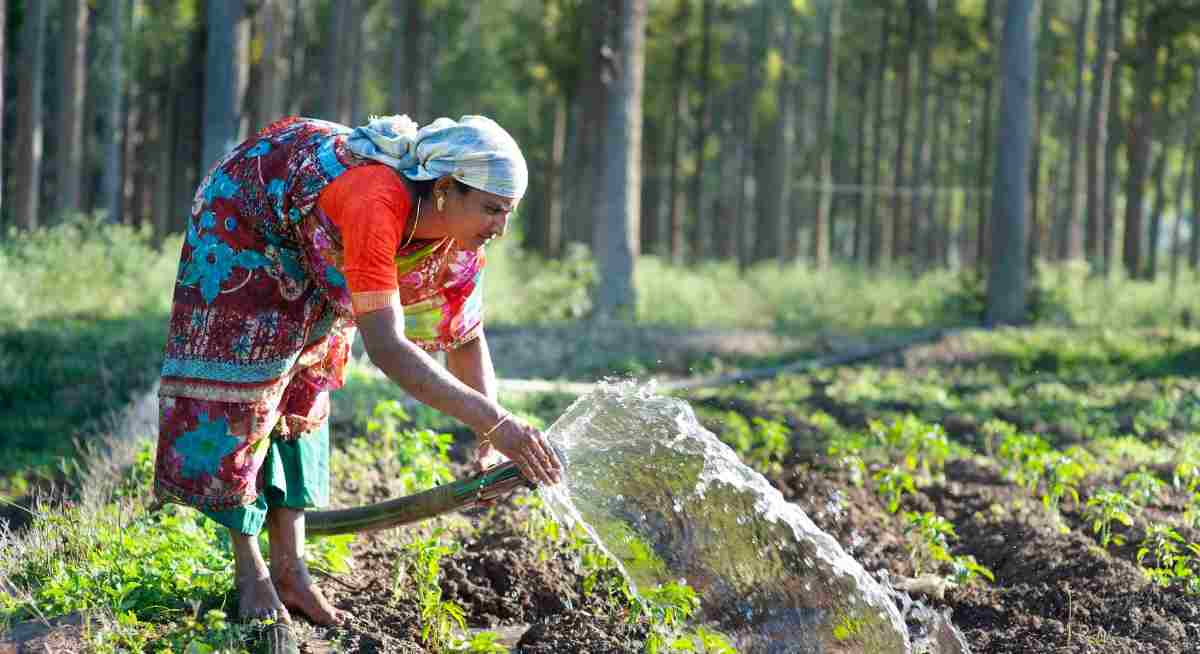 natural farming Andhra Pradesh agriculture organic