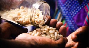 Deepankar Pandey seeds seed industry food security