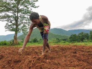 NSAI seeds seed industry Deepankar Pandey food security