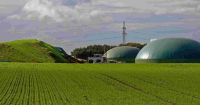 Biogas plant IBA biofuels