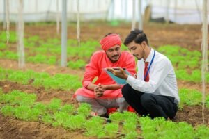 WayCool SAP Agritech Agtech Start-up